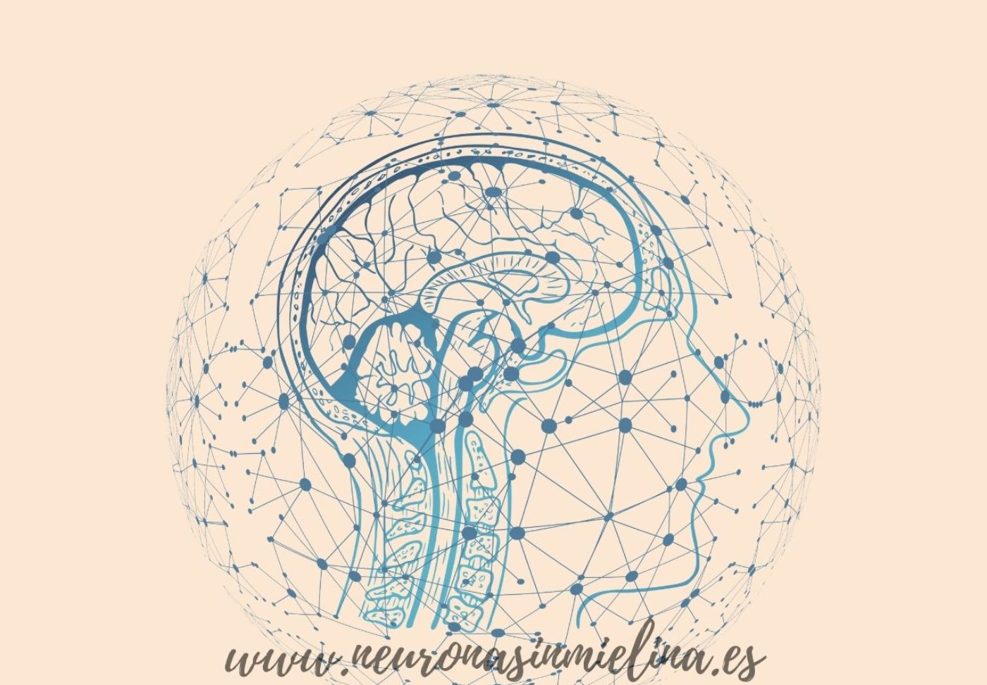 Neurona sin mielina
